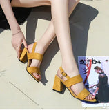 2025 Summer New Fresh Suede Chunky Heels Sandals